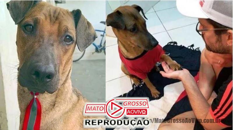 Dono do cãozinho Doze ganha ingresso para assistir jogo do Flamengo