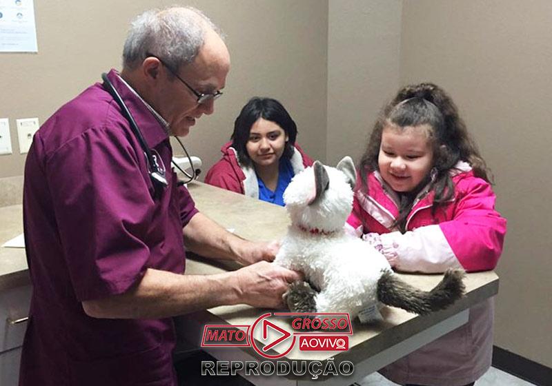 Dr. Maier, o gato de pelúcia, Jazmine e a mãe - Foto: Pioneer Veterinary Clinic/Susie Efigenio