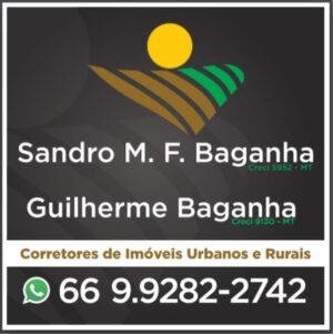 SANDRO BAGANHA CORRETOR