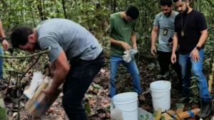 trás dos números da USP em manifestações de direita Volta a viralizar nas redes