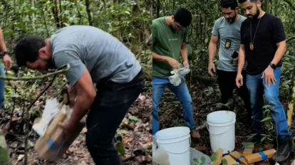 trás dos números da USP em manifestações de direita Volta a viralizar nas redes