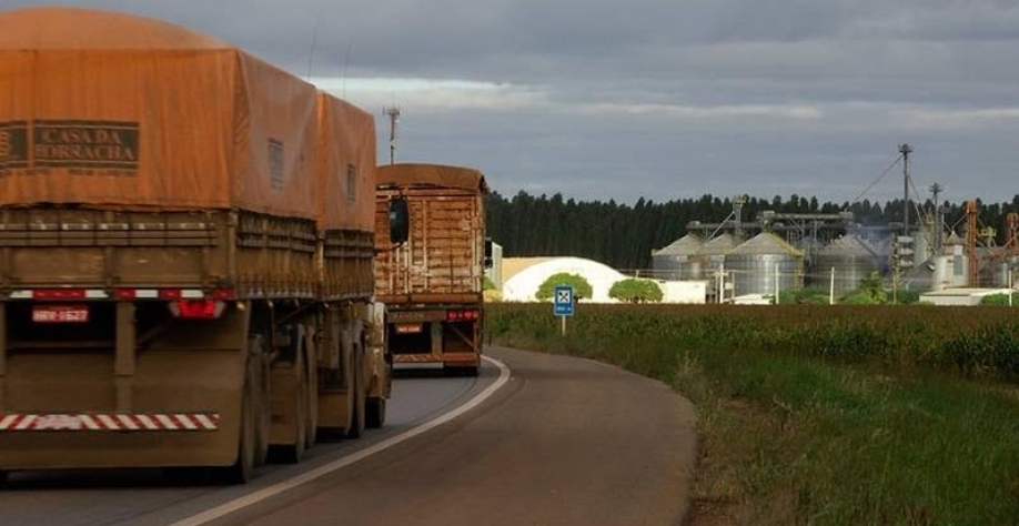 Wenderson Araújo / CNA