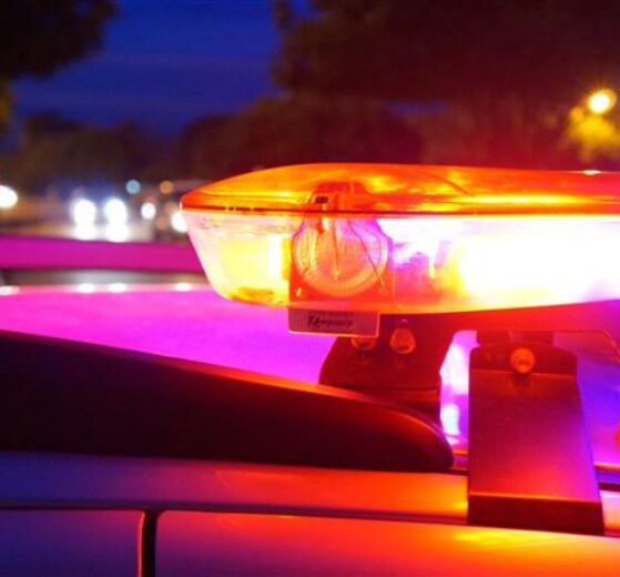 Arquivo Notícia Exata