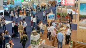 Mato Grosso impulsiona floresta sustentável em feira madeireira na França