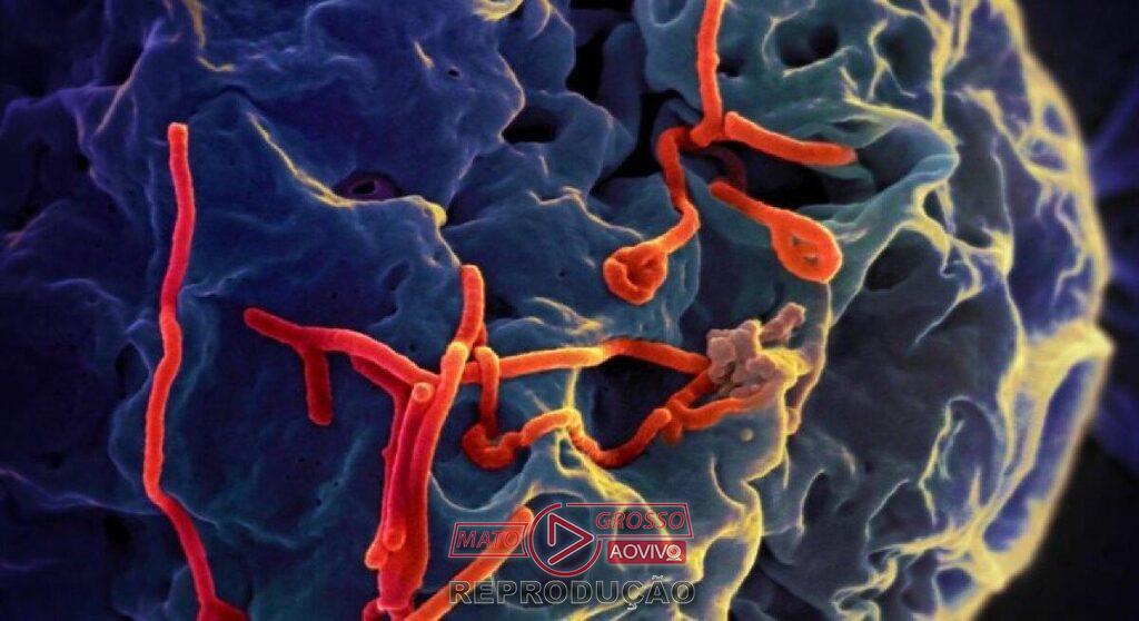 Rio e São Paulo investigam casos suspeitos de ebola com resultados previstos para a próxima semana