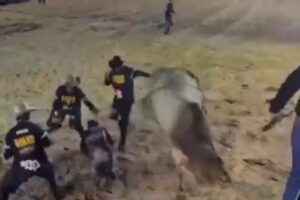 Peão escapa por um triz de ser pisoteado por touro em rodeio de Sinop