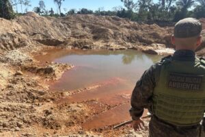 Operação ambiental desarticula garimpo ilegal e área de desmatamento em Novo Mundo