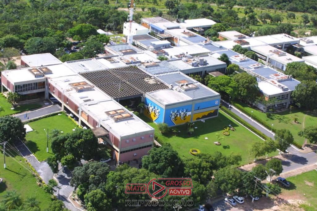 Cinza vegetal vira fertilizante sustentável em Rondonópolis com incentivo da Fapemat