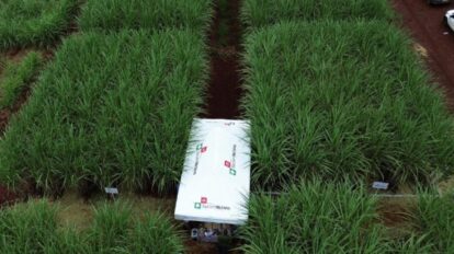Novas tecnologias em bioestímulo e controle de pragas impulsionam cultivo de cana na Feira Copercana