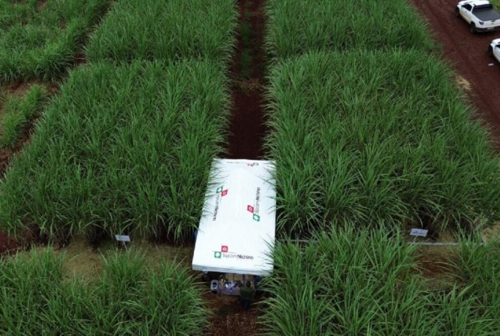 Novas tecnologias em bioestímulo e controle de pragas impulsionam cultivo de cana na Feira Copercana