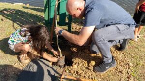 Prefeitura de Cuiabá lança programa de arborização com figurinhas da Copa
