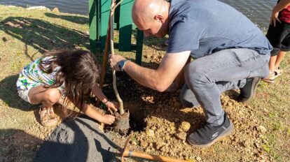 Prefeitura de Cuiabá lança programa de arborização com figurinhas da Copa
