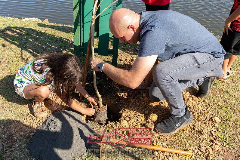 Prefeitura de Cuiabá lança programa de arborização com figurinhas da Copa