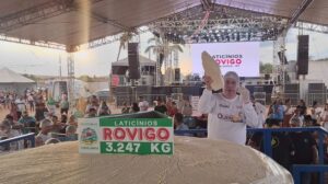 O maior queijo frescal do Brasil é de Curvelândia, com 3.247 kg e novo recorde.