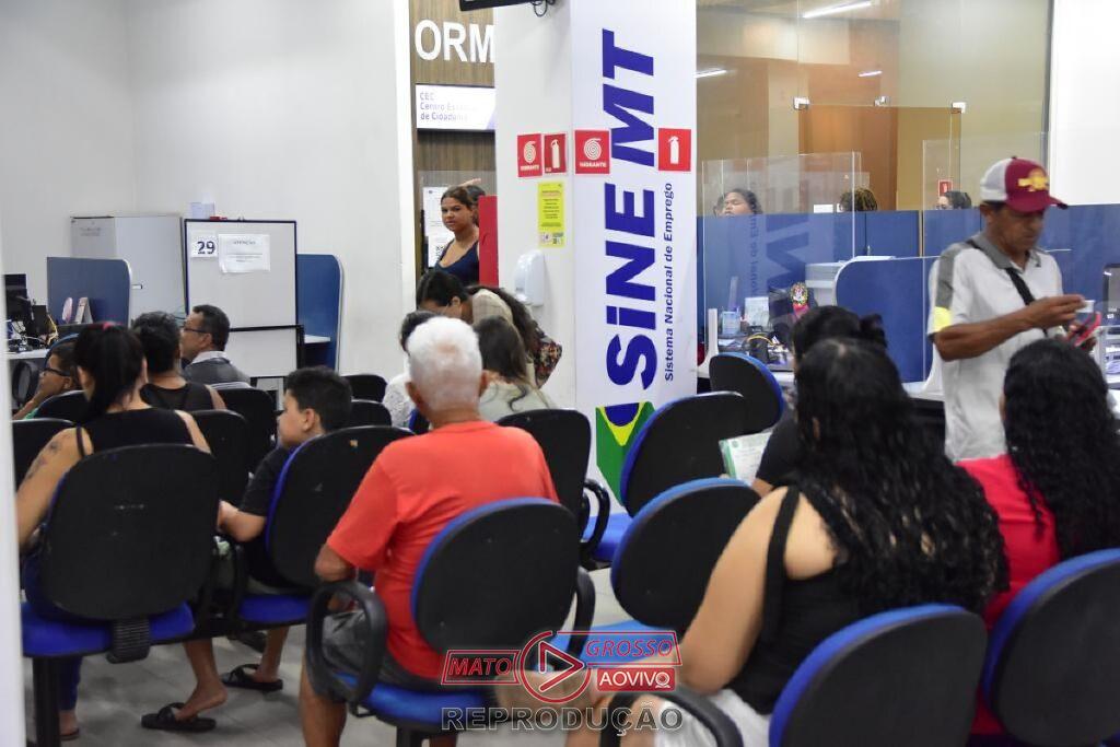 Mato Grosso oferece mais de 2 mil vagas de emprego em diversas áreas pelo Sine-mt