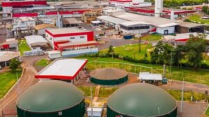 Frimesa antecipa meta e atinge 96,4% de energia renovável em suas operações