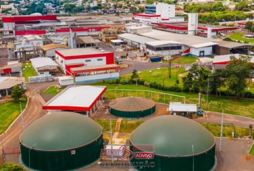 Frimesa antecipa meta e atinge 96,4% de energia renovável em suas operações