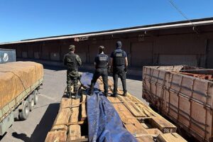 Operação Timber Shield investiga carga de madeira com suspeita de até 50 toneladas de cocaína