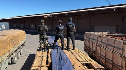Operação Timber Shield investiga carga de madeira com suspeita de até 50 toneladas de cocaína