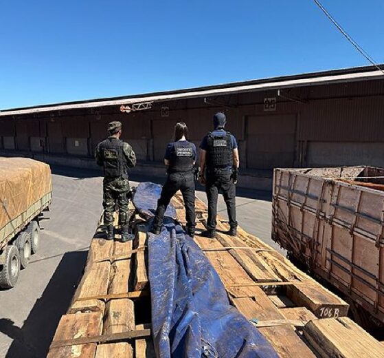Operação Timber Shield investiga carga de madeira com suspeita de até 50 toneladas de cocaína