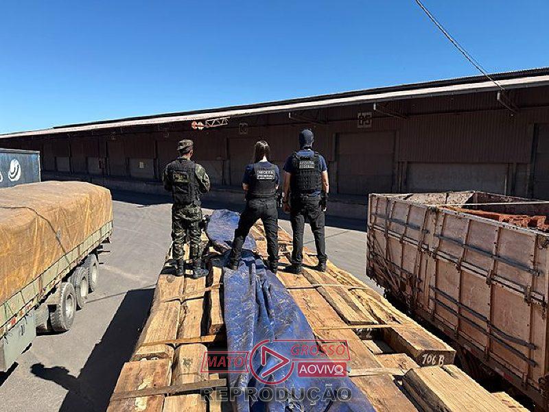 Operação Timber Shield investiga carga de madeira com suspeita de até 50 toneladas de cocaína