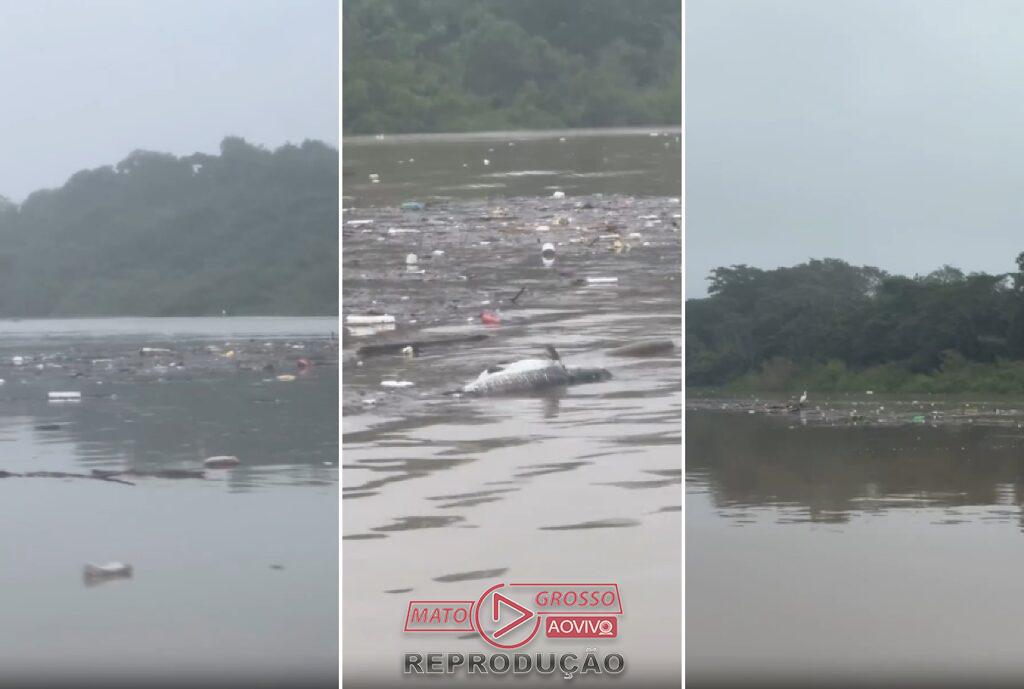 Rio Cuiabá enfrenta grave poluição com lixo e peixes mortos, alerta guia de turismo