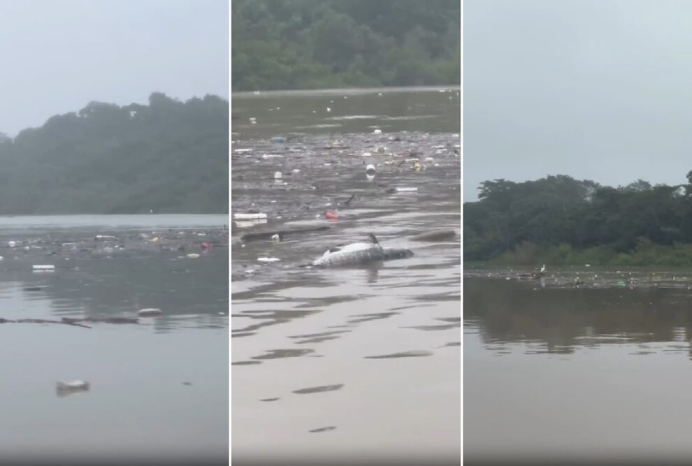 Rio Cuiabá enfrenta grave poluição com lixo e peixes mortos, alerta guia de turismo