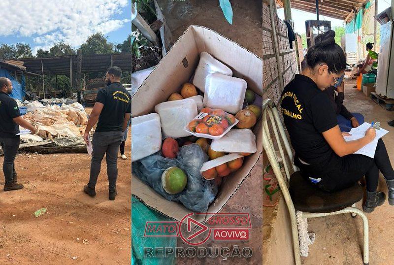 Trabalho escravo: cinco pessoas são resgatadas em empresa de reciclagem em Rondonópolis